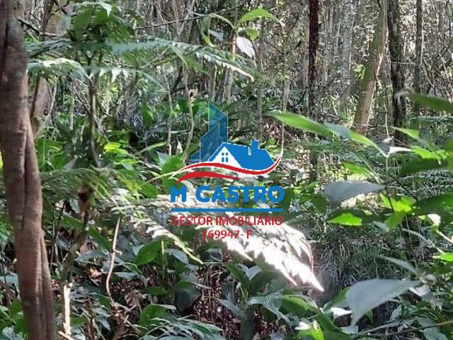 Terreno para Venda em Embu das Artes - 5