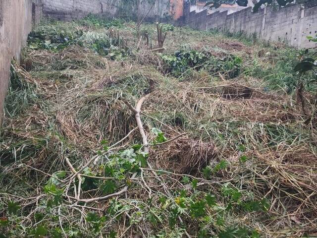 Área para Venda em São Paulo - 5