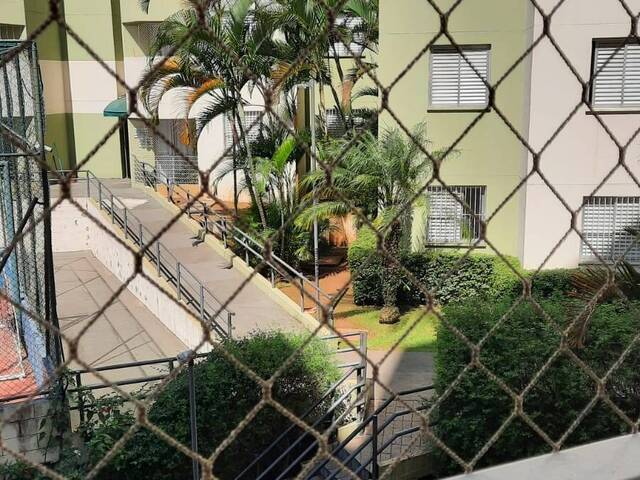 Locação em PARQUE MUNHOZ - São Paulo