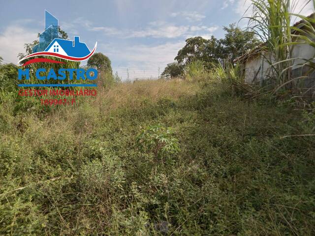 #2701 - Área para Venda em Cotia - SP