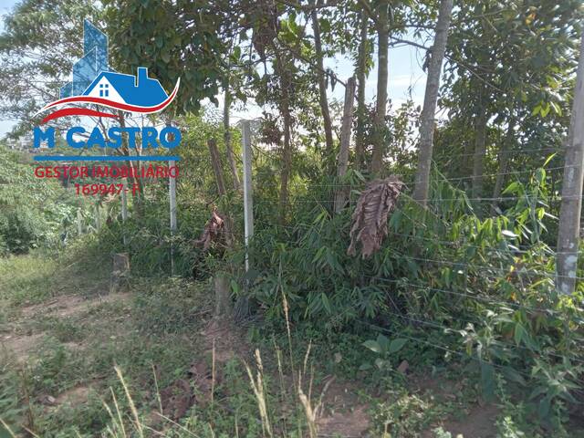Área para Venda em Cotia - 5