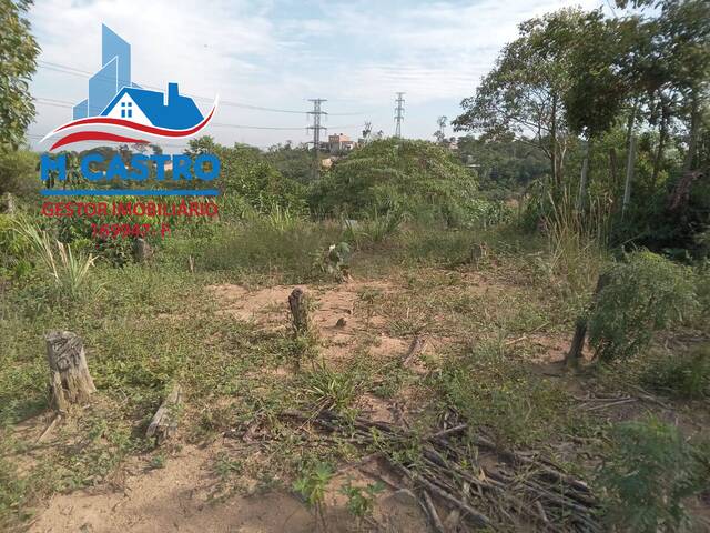 Área para Venda em Cotia - 4