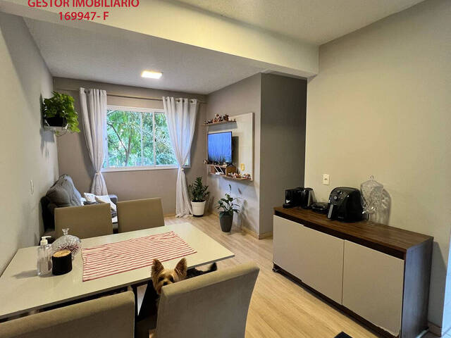 Venda em Jardim Helga - São Paulo