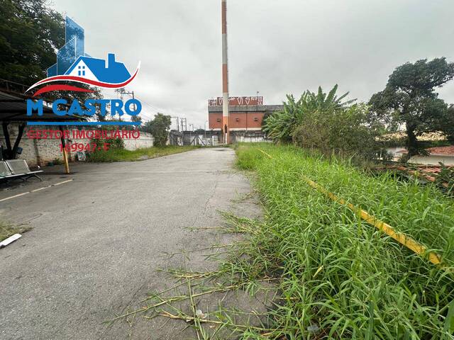 Terreno Comercial para Locação em São Paulo - 4