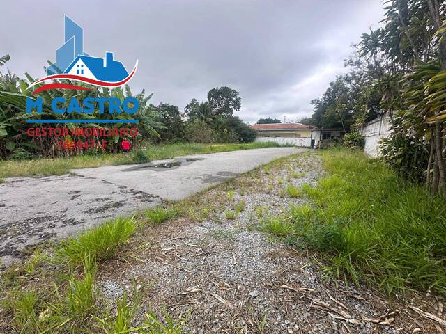 Terreno Comercial para Locação em São Paulo - 5